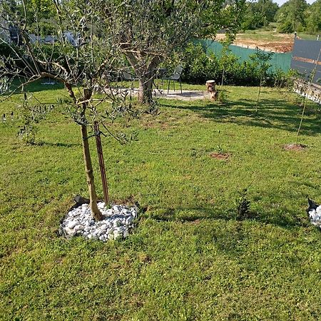 Apartman Jenny-Porec Kosinozici ภายนอก รูปภาพ