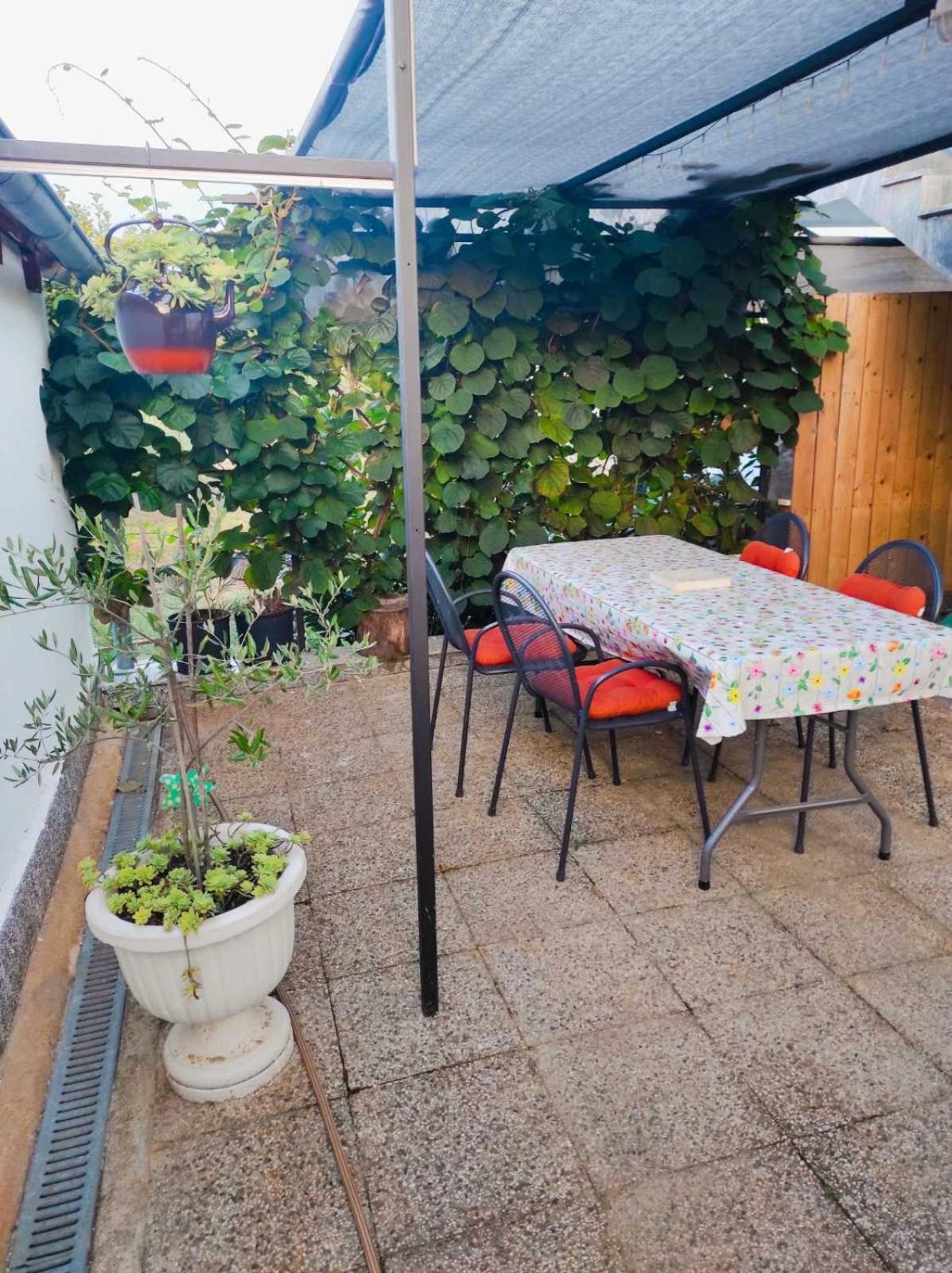 Apartman Jenny-Porec Kosinozici ภายนอก รูปภาพ